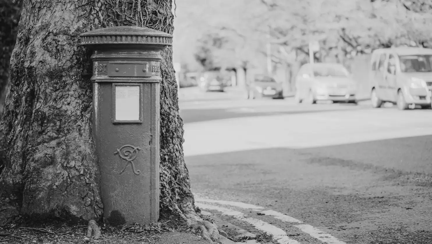 Issue 84: A Bulletin for Big Ideas and Better Business