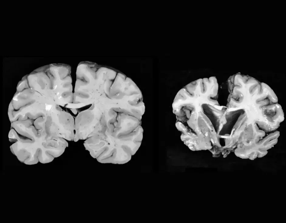 Issue 98: A Bulletin for Big Ideas and Better Business